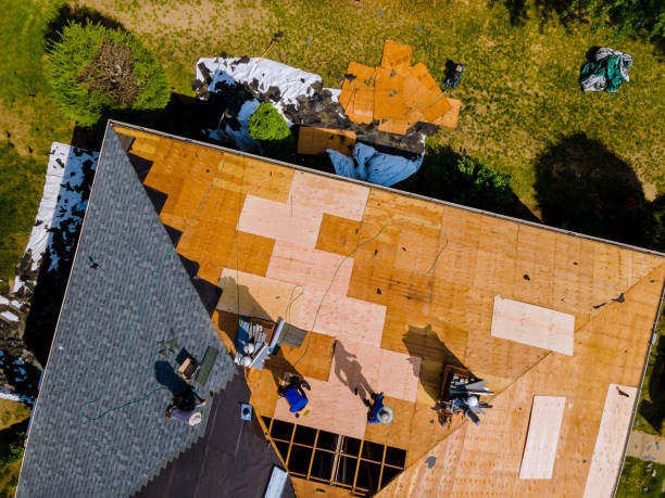 Roof Gutter Cleaning in Great Neck Gardens, NY